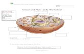 Animal and Plant Cells Worksheet - · PDF fileAnimal and Plant Cells Worksheet Questions: 1. Which type of cell is this? 2. How do you know which type of cell it is? ... Animal and