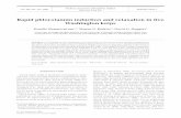Rapid phlorotannin induction and relaxation in five ... · PDF fileRapid phlorotannin induction and relaxation in five ... and this is one of the first attempts to measure relaxation