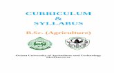 CURRICULUM SYLLABUS - · PDF fileCURRICULUM & SYLLABUS B.Sc. ... Principles of Plant Biotechnology ABT 311 3 (2+1) Total 3 (2 ... Agril. Biotechnology BS-411,412,413,414,415,416 11.