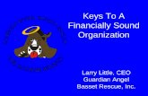 Keys To A Financially Sound Organization - Conviopschar.pub30.convio.net/resources/resources-documents/04-22-06... · Keys To A Financially Sound Organization Larry Little, ... from