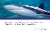 Fisheries Bycatch of Sharks: Options for Mitigation/media/legacy/uploadedfiles/peg/publications/...Fisheries Bycatch of Sharks: Options for Mitigation 3 ... they make up a majority