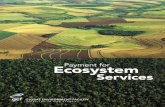 Payment for Ecosystem Services - Global Environment Facility · PDF fileThe goal of the Biodiversity Focal Area is the con-servation and sustainable use of biodiversity and the mainte-nance