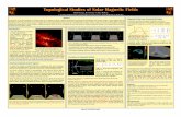 Topological Studies of Solar Magnetic Fields - dynamics of the solar atmosphere is primarily driven by the evolution of intense magnetic field ... Topological Studies of Solar Magnetic