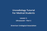 Uroradiology Tutorial For Medical Students - auanet.orgauanet.org/Documents/education/Ultrasound-1.pdfUroradiology Tutorial For Medical Students ... the internal organs of the genitourinary