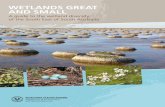 WETLANDS GREAT AND SMALL - Department of · PDF fileoften water is present will determine the wetland type and the plants and animals present. ... of the region are found in specific