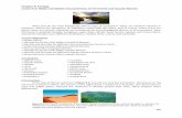 Chapter 9: Ecology Lesson 9.2: Biotic and Abiotic ... · PDF file289 Chapter 9: Ecology Lesson 9.2: Biotic and Abiotic Characteristics of Terrestrial and Aquatic Biomes What may be