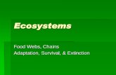 Food Webs, Chains Adaptation, Survival, & Extinctionchambershardy.weebly.com/uploads/2/6/8/0/2680125/web_adapatation… · population if some of the plants or animals in the community