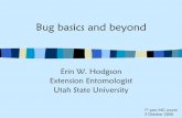 IPM: the dirty word in entomology - Utah Pests · PDF file– Locomotion (legs and wings) • Abdomen – Digestion, reproduction, respiration. ... Examples: grasshoppers, true bugs,