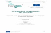 D4.2 Report of the Workshops and Visit Tours - BIOGAS3 Report of the... · IEE/13/477/SI2.675801 D4.2 1 / 29 D4.2 Report of the Workshops and Visit Tours BIOGAS3 Sustainable small-scale