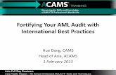 Fortifying Your AML Audit with International Best Practicesservice.tabf.org.tw/tw/user/2013aml/doc/2013 AML 4 (Hue Dang).pdf · Fortifying Your AML Audit with International Best Practices