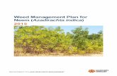 Neem management plan - Northern Territory · PDF fileNeem has become naturalised in many areas across northern Australia, where the expansion of unmanaged populations has demonstrated