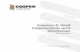 Casino-5 Well Intervention and Workover Well Construction Manager – Cooper Energy . ... The “operational area” for the activities is the area where well intervention and workover-related