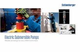 Electric Submersible Pumps - Schlumberger - Oilfield · PDF fileESP Product Suite Environments and Features ... Local support for a customized approach ... Electric Submersible Pumps