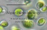Algae Biotechnology - Biogasbiogas.ifas.ufl.edu/Internships/2012/files/algae biotechnology.pdf · Algae Biotechnology A brief history and the state of the art . Title: Algae Biotechnology
