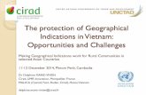 The protection of Geographical Indications in Vietnam ...unctad.org/meetings/en/Presentation/aldc2014-12-11_Vietnam.pdf · The protection of Geographical Indications in Vietnam: ...