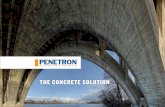 THE CONCRETE SOLUTION - Penetron · PDF fileDamage from concrete scaling Self-healing. The PENETRON system provides concrete with the capacity to self-heal micro-cracks up to 0.4 mm