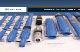 DOWNHOLE OIL TOOLS -   · PDF fileDOWNHOLE OIL TOOLS. ii ... We invite you to contact our downhole tools team to learn how we can bring a world of re- ... Motor