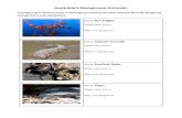 Australia's Dangerous Animals - Eklablogekladata.com/.../Dangerous-Animals-Worksheet.pdf · Australia's Dangerous Animals: ... Name: Saltwater Crocodile Where does it live: Why is