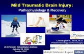 Mild Traumatic Brain Injury - Snapup Tickets Traumatic Brain Injury: ... Brain energy crisis 2. Slow reflexes and reaction time 3. ... behavioral screening questionnaires.