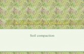 Soil structure degradation - Food and Agriculture · PDF fileSoil structure degradation Soil compaction. ... results in the formation of dense plough pans. Surface compaction • clogging