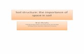Soil structure: the importance of space in · PDF fileDefinition of Soil Structure • Arrangement of soil particles – Formation of pores in the soil – Formation of shaped structural