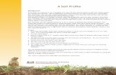 A Soil Profile - Home | Soils 4 · PDF fileThe arrangement of these horizons in a soil is known as a soil profile. Soil scientists, ... structure, and thickness. Other properties are