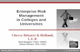 Enterprise Risk Management in Colleges and …media.clemson.edu/administration/cfo/comptroller/sacubo/4-risk.pdfEnterprise Risk Management in Colleges and Universities | Enterprise