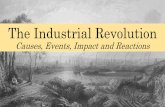 The Industrial Revolution · PDF file · 2018-01-04Great Britain to the continent, where the state played a ... exacerbated by industrialization by expanding their ... took place