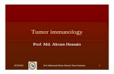 7 Tumor immunology.ppt - Mymensingh Medical College file/7 Tumor immunology.pdf · Tumor immunology Prof. Md. Akram Hossain 12/23/2013 Prof. Muhammad Akram Hossain, Tumor Immunity