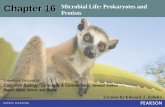 Chapter 16 Microbial Life: Prokaryotes and Protists –autotrophs, algae, produce food by photosynthesis, –heterotrophs, protozoans, eat bacteria and other protists, –heterotrophs