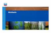 Biofuels Overview at AABE April 2011.ppt Fuels... · U.S. Federal Biofuels Mandates 40.00 60% GHG 50% GHG 50% GHG 20% GHG 30.00 35.00 Cellulosic Biofuel Advanced Biofuel: Sugar Ethanol