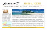 BELIZE - Educational Tripseducationaltrips.org/pdf docs/Maya Rainforest to the Barrier Reef... · and lifestyle. While you are in Belize watch and listen for their alluring dances