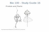 Protists and Plants - Geneseosimon/bio105/class/guide1610.pdf · Protists and Plants ... protists, with both sexual and asexual species –exhibit “evolution” of mitosis and ...