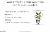 Wood mCHP: a long way from lab to mass · PDF fileWood mCHP: a long way from lab to mass market -Introduction : wood mCHP -Benefits -Historical attempts -EXOES -What is needed to succeed?