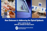 How Delaware is Addressing the Opioid Epidemicdhss.delaware.gov/dhcc/files/opiodpresentation_03022017.pdf · How Delaware is Addressing the Opioid Epidemic KARYL T. RATTAY, ... Provider