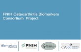 FNIH Osteoarthritis Biomarkers Consortium Project · PDF fileThe OA Biomarkers Project is among the first to utilize the imaging and ... Minimum JSW, JSW (X), FSA, OARSI JSN Quantitative