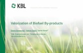 Valorization of Biofuel By-products - Squarespace · PDF file1KBL Environmental Ltd., ... Used a portion to apply as in cash funding for MITACS internship Added in-kind funding ...