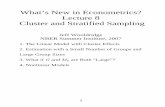 What’s New in Econometrics? Lecture 8 Cluster and ... · PDF fileWhat’s New in Econometrics? Lecture 8 Cluster and Stratified Sampling ... In panel data case, (3) 4. ... data set