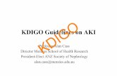 KDIGO Guidelines on AKI .',*2kdigo.org/wp-content/uploads/2017/04/KDIGO-AKI-Guideline_Cass-2014.pdfKDIGO Guidelines on AKI Professor Alan Cass ... 849 pts Ho and Sheridan, BMJ 2006