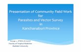 Presentation of Community Field Work for ... of Community Field Work for ParasitesParasites and Vector Survey in Kanchanaburi Province Group 2 , DTM & H (2012) Faculty of ... DTM &