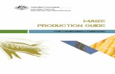 MAIZE PRODUCTION GUIDE - ACIAR | Australian …aciar.gov.au/files/maize_167_lr.pdfMAIZE PRODUCTION GUIDE FOR CAMBODIAN CONDITIONS ii The Australian Centre for International Agricultural