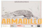 A UNIFYING SYMBOL FOR WILDLIFE … UNIFYING SYMBOL FOR WILDLIFE CONSERVATION IN SOUTH AMERICA armadillo family tree – species overview . 2 armadillo family tree – species overview