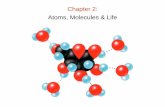 Chapter 2: Atoms, Molecules & Life - Western Oregon …guralnl/gural/102Chapter 02 - Chemistry.pdfChapter 2: Atoms, Molecules & Life Inert Atoms = Atoms with their outermost shell
