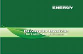 Biomass Basics: The Facts About Bioenergy need new energy sources to replace fossil fuels A number of renewable resources like solar, wind, hydropower, geothermal, and biomass have