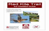 Gateshead - Red Kite Trail (Council) · PDF fileof other wildlife Red Kite Trail ... The red kite is one of the most beautiful birds of prey. ... Red Kite Trail - Stage One Fact File
