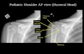 Pediatric Shoulder AP view (Humeral Head) · PDF fileHumerus. Lesser tubercle. Greater tubercle. Humerus Head. Physis. Pediatric Shoulder AP view (Humeral Head)