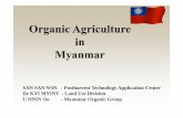 4) Myanmar- San San Win.ppt - · PDF fileDried Mango Chip 2.05 1.59 2.61 1.29 ... fertility and fertilizer application, ... Potential of organic agriculture in MyanmarPotential of