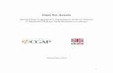 Cash for Assets - · PDF file2 Acknowledgments CGAP commissioned Bankable Frontier Associates (BFA) to conduct this study. The authors of this report are Jamie M. Zimmerman, BFA supply-side