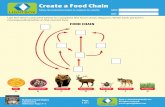 Create a Food Chain -   · PDF fileNAME DATE Using information found in the book, ... grassland, polar ice, or tundra ... producer, primary consumer, and tertiary consumer