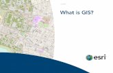What is GIS - Esri/media/Files/Pdfs/library/bestpractices/what-is-gis.pdf · What Is GIS? 3 30pping and Charting Ma 30ronautical Ae 31 Cartographic 32 Nautical 32patial Data Infrastructure